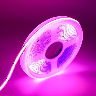 Cina 12V rosa rosso COB luce a strisce senza punti IP20 COB LED Strip lampada per la decorazione del soffitto della parete in vendita