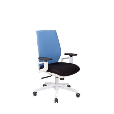 China Modern Style Adjustable High Quality Mesh Office Chair Personal Computer Office Swivel Office Chairs With Lumbar Support for sale