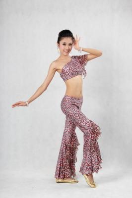 China Leopard Grain Belly Dancing Clothes Diagonal Neckline Bodice Ankle Length Pants for sale