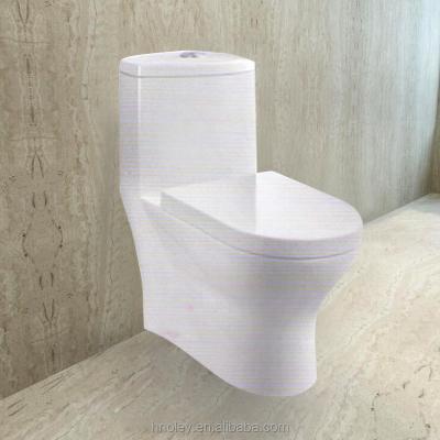 China Hidden Toilet Bowl Cistern Bathroom Luxury Design Western Types for sale