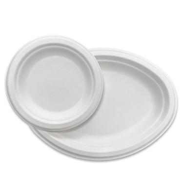 China Biodegradable 6 inch 7 inch 9 Inch Factory Bagasse Biodegradable Disposable Paper Plates Dish Plate Tableware Manufacturer for sale