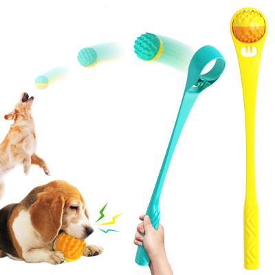 China Viable Molar Dog Toy Outdoor Voice Throw Set Interactive Pet Toys Dog Training Toy for sale