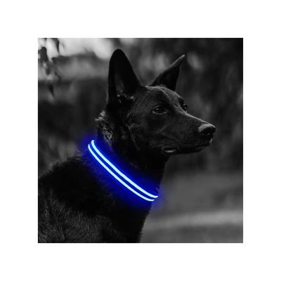 China USB Stocked Rechargeable Led Safety Light Up Collar For Pets Glow Collar Varisized Dog Collar Puppies Cats for sale