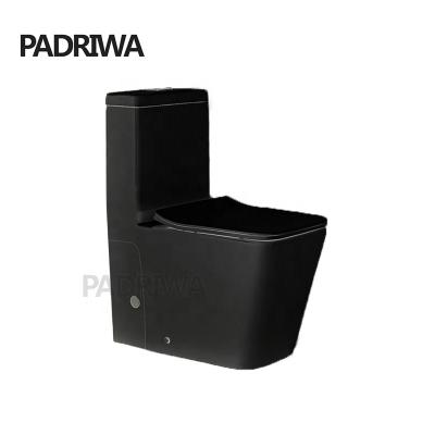 China Matte Black Trap Cistern Bathroom Hidden Ware Sanitary Cubicle Rimless Two-Piece Wc Toilet Ceramic Rimless Toilet for sale