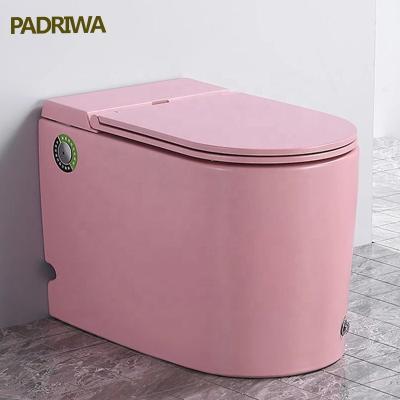 China Polish Double-Flow Toilet Made And Toilet Inventor For Toilet And Sink Combination for sale