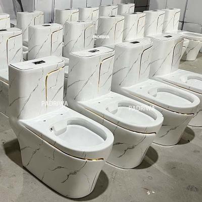 China Double-flush black toilet leads to toilet and sink combination for sale