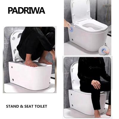 China Concealed tank modern sitting and double position using the toilet for sale