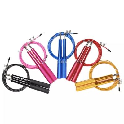 Cina Wholesale Custom Logo Training Fintness Accessories Aluminum Jump Rope plastic jump rope in vendita