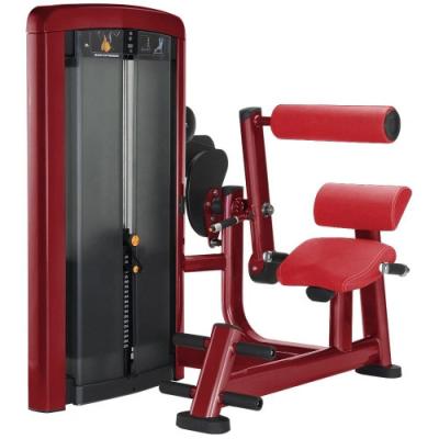 China Máquina de extensão de Fitness Fitness Pin Carregado de volta à venda