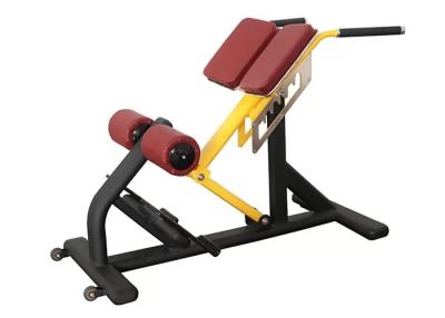 China Commercial Gym Weight Bench Rack Fitness Equipment Roman Ab Exercise Chair for sale