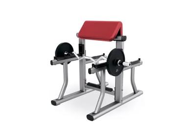 China Small Gym Weight Bench Rack Home Workout Fitness Biceps Arm Curl Equipment for sale