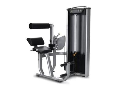 Chine Professional Matrix Exercise Equipment Seated Back Extension Machine à vendre