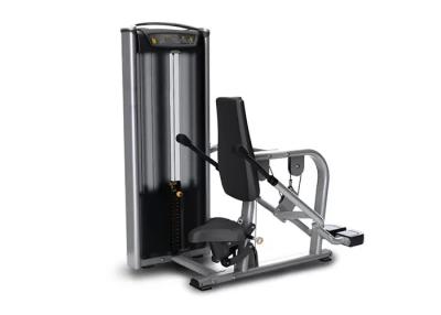 Chine Matrix Tricep Dip Machine , Indoor Gym Sports Exercise Equipment à vendre