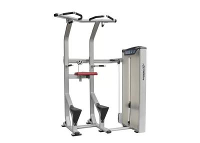 Chine Assisted Dip Chin Strength Training Machine , Professional Matrix Bodybuilding Equipment à vendre