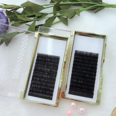 China Classic Matte Black Extension Lash Tray Individual Siberian Mink Eyelash Volume Long Wick Extension Trays Natural Wholesale for sale