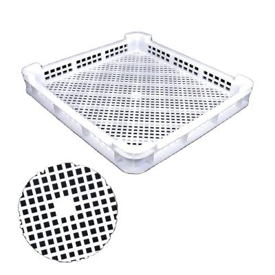 China Safety Food Grade Stackable Plastic Drying Trays Agricultural Tray For Drying Used For Freezing Fruit Vegetables And Seafood for sale