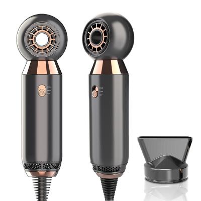 China 2021 New Design Fashion Ionic Professional Hair Dryer Ionic Hair Dryer Two Speeds Rotation for sale