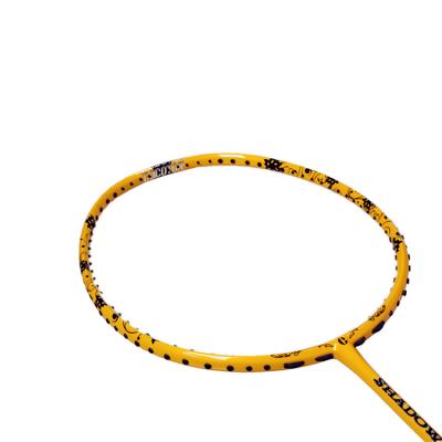 China High quality full carbon badminton racket for professional sports for sale