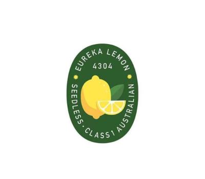 China OEM Waterproof Fruit Shaped Stickers Vegetables Brands Custom Print Logo Sticker for sale