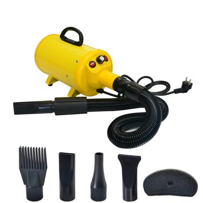 China 2800w Sustainable Grooming Adjustable Wind Speed ​​Temperature Setting Sandblaster Fan Dog Cat Pet Hair Dryer With 4 Different Nozzles for sale