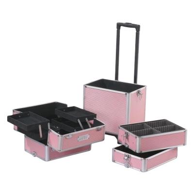 China Cosmetic Artist Makeup Aluminum Case, Professional Beauty Rolling Case, Cosmetic Trolley Box for sale