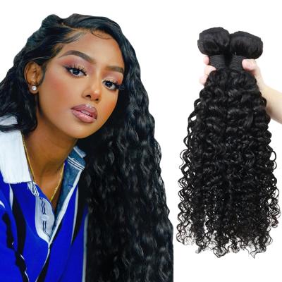 China Curly Double Drawn Bundles Curly Virgin Hair Wholesale Vendors Raw Indian Hair Hair Extension for sale