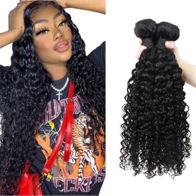 China Easily Styled Free Sample Hair Bundles Cuticle Aligned Raw Virgin Human Hair Cambodian Curly Hair Extension for sale