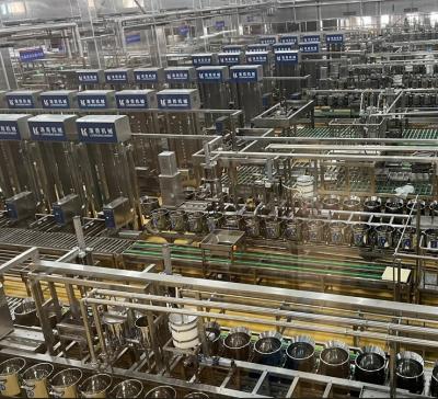 China Volledig automatische machine voor het verwerken van bonenproducten voor de commerciële tofu-productielijn Te koop