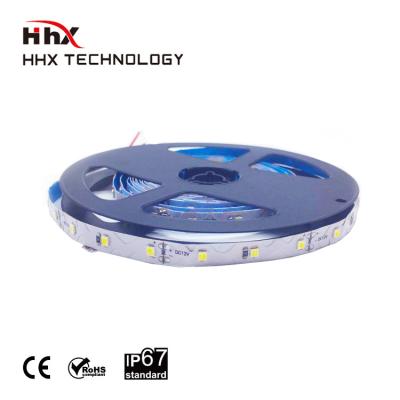 China Hotel wholesale led strip light 2835 RGB rope light/white/warm white led strip light for sale