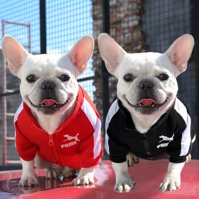 China Sports Dog Supplie Zipper Tides Designer Name Brand Sweater Letter Printing Bichon Dog French Bulldog Pet Clothes Clothing Supplies for sale