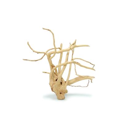 China Natural Azalea Root For Aquarium Fish Tank Decor Wooden Aquascape Driftwood Spider Wood for sale