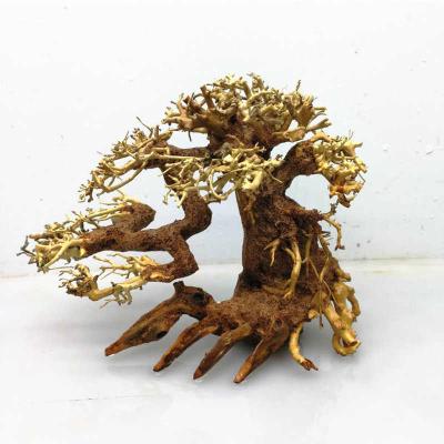 China Aquascape Bonsai Hardscape Driftwood for Aquascape Aquarium Tree for Aquarium Decor for sale