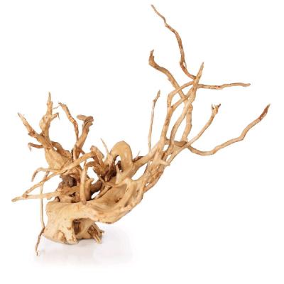 China Decorative Material Natural Aquarium Driftwood Spider Material Wood Viable For Fish Tank Aquascaping for sale