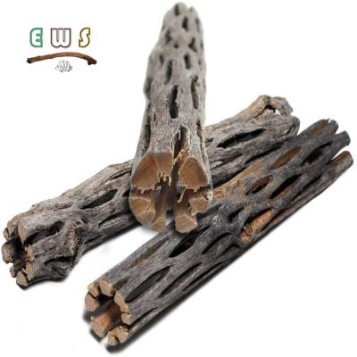 China Large Cholla Viable Natural Wood Tall Cavity Honeycomb Driftwood Aquarium Decoration for sale