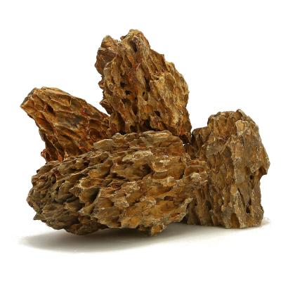 China Dragon Stone Rock For Aquarium Viable Natural Aquatic Decoration for sale