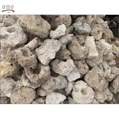 China Bonsai Viable Raw Rock Mountain Landscape Aquarium Shangshui Absorbent Stone For Garden Decor for sale