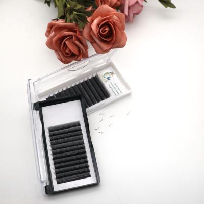 China Volume Natural Easy Fanning Lashes YY and WW/VV Lashes Eyelash Extensions for sale