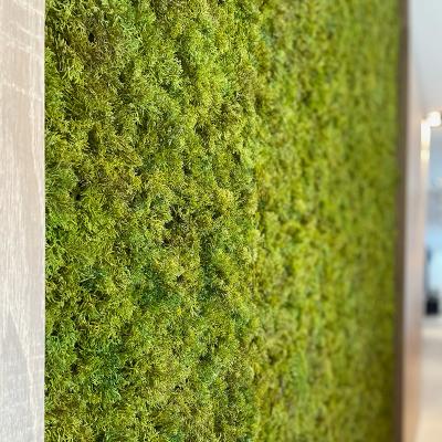 China Indoor Outdoor Eco-friendly Greenery Artificial Artificial Moss Wall Piece Fire Proof Green Moss Carpet for sale