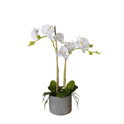 China Home Decor Realistic Butterfly Orchid Artificial Potted Plants for sale