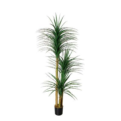 China Realistic simulation plant artificial potted green plastic dracaena tree small for artificial cheap price plastic plants for sale