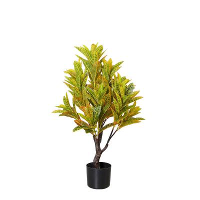 China Real Touch Real Touch Indoor Artificial Codiaeum Decorative Tree Plant Eco - Friendly Lifelike High Quality Bonsai Trees for sale