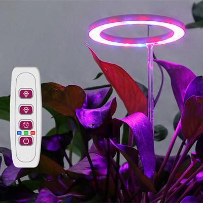 China Green House Planting Angel Ring Plant Light Home Indoor Flower Succulent New Led Plants Growth Light Full Spectrum Grow Light 5v for sale