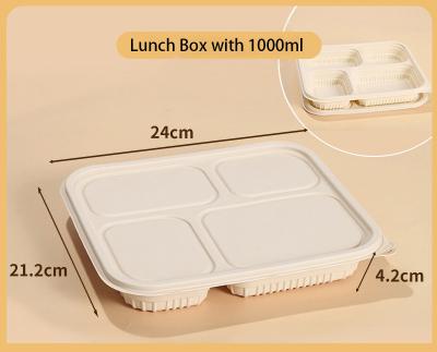 China Biodegradable Disposable Cornstarch Lunch Boxes Restaurant Corn Starch Food Container Takeaway togo Takeout for sale