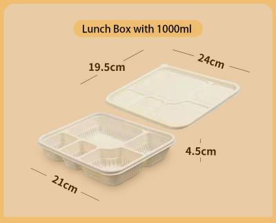 China Customizable 1000ml Greaseproof and Microwavable Eco Friendly Food Containers Biodegradable Lunch Box Disposable for sale