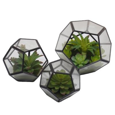 China Modern Geometric Glass Planter Mini Greenhouse Tabletop Pentagon Shape Succulent Plants for sale