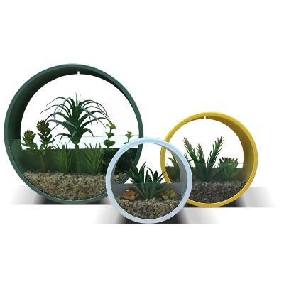 China Europe Set 3 Wall Hanging Round Succulent With Metal Pot Succulent Planter for sale