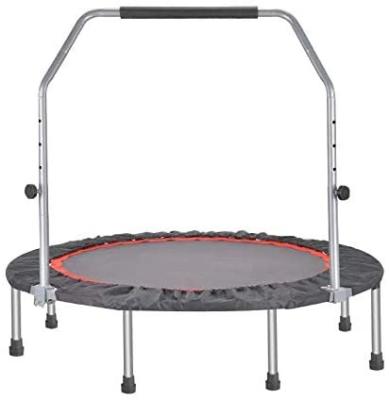 China With protective net spring trampoline with protection for adult for sale