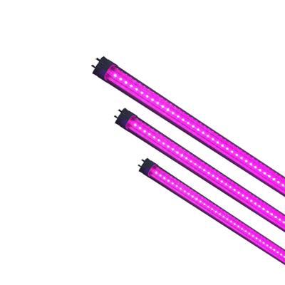 China Seed Seed Plant 600mm 900mm 1200mm LED Grow Light Full Spectrum T8 Red and Blue LED Plant Grow Tube Light for sale