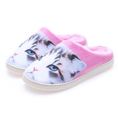 China Fashion Trend Manufacturer Supplier Multi Size Indoor Minimalist Cat And Dog Slippers Model Handsome for sale