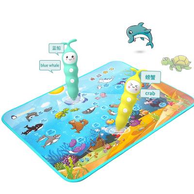 China Educational Toy Cognitive and Coordination Development Small Type Touch and Hear Interactive Audio Sound Play Mat for sale